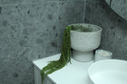 Preserved Amaranthus Olive Green