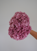 Preserved Hydrangea Bouquet