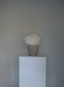 Arya Preserved Arrangement X Antique Grey Herama Pot