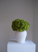 Green Preserved Hydrangea Arrangement X Small Herama Pot
