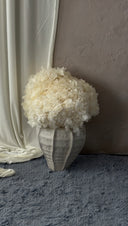 White Preserved Hydrangea Arrangement X Mila Vase