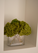 Preserved Hydrangea X Ripple Oval Vase