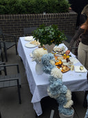 Lemon Spray X Evoke Vase