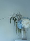 Skylah Preserved Arrangement X Ripple Round Vase