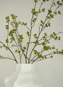 Elm Seeding X Genekei Vase