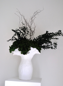 Leni Preserved Arrangement X Namoli Vase