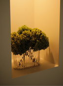 Preserved Hydrangea X Ripple Oval Vase