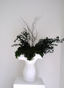 Leni Preserved Arrangement X Namoli Vase