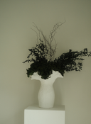 Leni Preserved Arrangement X Namoli Vase