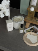 Orchid X Single Stem Vase