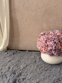 Lottie Preserved Arrangement X Pod Vase