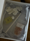 Orchid X Single Stem Vase