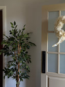 Preserved Christmas Wreath