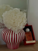 Vanilla Ombré Duo Pack