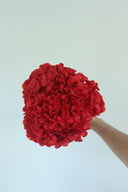 Preserved Red Hydrangea Stem