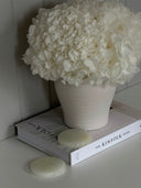 Handcrafted Natural Stone Coaster