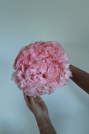 Preserved Pink Hydrangea Stem