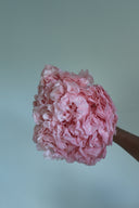 Preserved Pink Hydrangea Stem