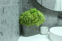 Preserved Hydrangea X Ripple Oval Vase
