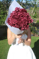 Preserved Burgundy Hydrangea Stem