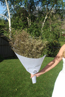 Preserved Misty Natural