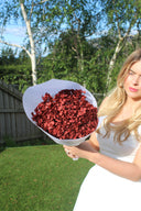 Preserved Vintage Red Hydrangea Stem