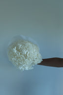 Preserved White Hydrangea Stem