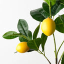 Real Touch Lemon Spray