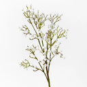 Babys Breath Spray