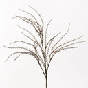 Coral Twig Spray
