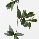 Olive Garland (w/o fruit)