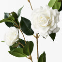 Camellia Spray