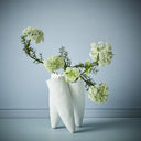 Queen Annes Lace Spray