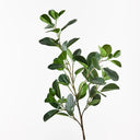 Real Touch Ficus Microcarpa Spray