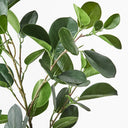 Real Touch Ficus Microcarpa Spray