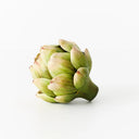 Artichoke Vegetable