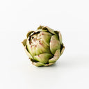 Artichoke Vegetable