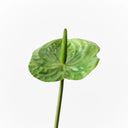 Real Touch Anthurium Green