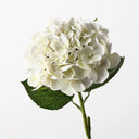 Real Touch Cream Hydrangea