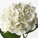 Real Touch Cream Hydrangea