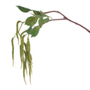 Amaranthus Spray