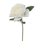 Fresh Touch Rose Bella (Short Stem)