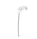 Premium Real Touch Phalaenopsis Orchid Mini Stem
