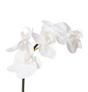 Premium Real Touch Phalaenopsis Orchid Mini Stem