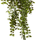 Premium Real Touch Ruscus Hanging Bush